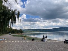 -阳宗海湿地