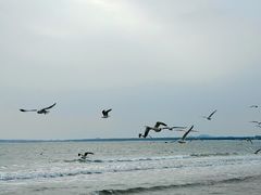 -秦皇岛秦皇国际大酒店