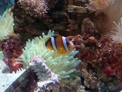 -太平洋海底世界