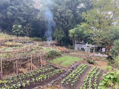 -石台牯牛降景区