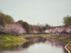 -上海海湾国家森林公园