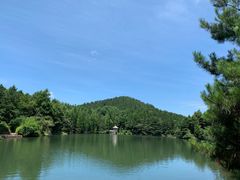 -四明山国家森林公园