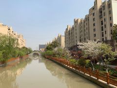 -高东镇樱花园