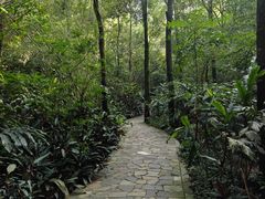 -广州市白云山风景名胜区