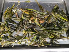 -小厨子私房菜·云南美食店