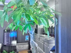 -鹿栖.精油SPA(金山世纪城店)