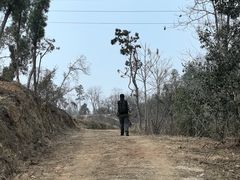 -青龙山国家森林公园