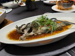 -骏莱海鲜鱼港(五角场店)