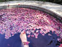 -咸宁万豪温泉谷度假区