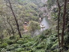 -九鲤湖风景区