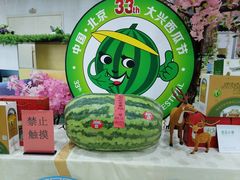 -西瓜小镇