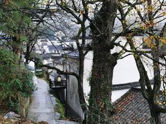 -塔川景区