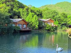 -杭州开元森泊度假乐园