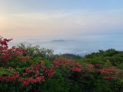 -大围山国家森林公园