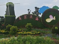 -荷兰花海