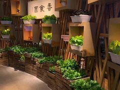 -番食园鲜食火锅(高新店)