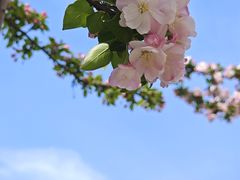 -海棠花溪(元大都城垣遗址公园)