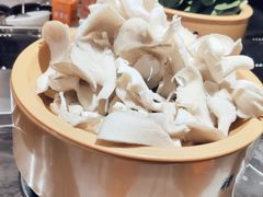 平菇-龍歌自助小火锅(崂山丽达店)