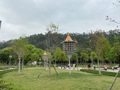 -顺峰山公园
