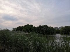-新江湾城公园