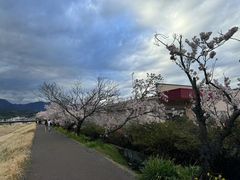 -富士山吉田線五合目