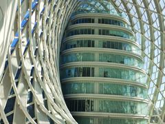 -凤凰中心
