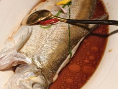 -醉庐·新上海菜(南京西路店)