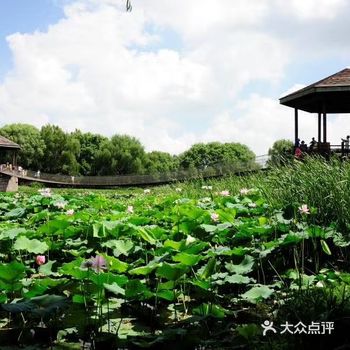 北京吃喝玩综合攻略|公园篇