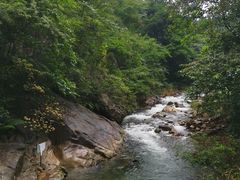 -广州市石门国家森林公园