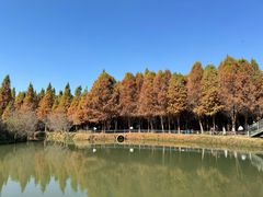 -捞渔河湿地公园
