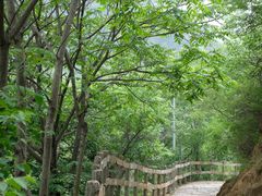 -大岭沟猕猴桃谷风景区