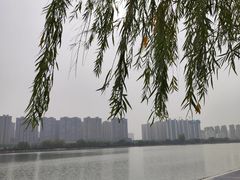 -渭滨公园