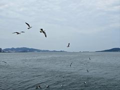 -悦海公园