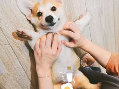 -喜洋洋(中山四路店)