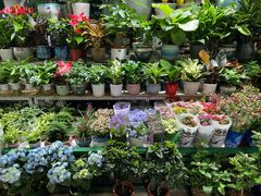 -三旗百汇商品城