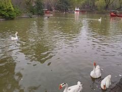 -洛阳市隋唐城遗址植物园