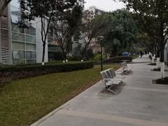 -西南政法大学(渝北校区)