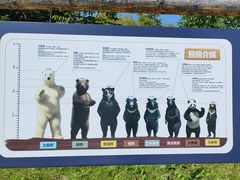 -黑瞎子岛探秘野熊园