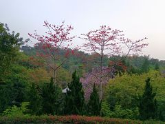-广州雕塑公园