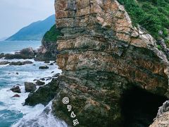 -杨梅坑