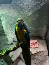 -Zoolung Zoolung动物主题公园(海信广场店)