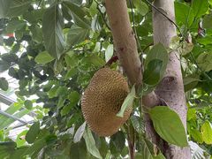 -南通洲际绿博园