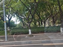-龙头寺公园