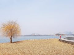 -长广溪湿地公园