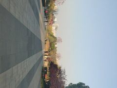 -青枫公园