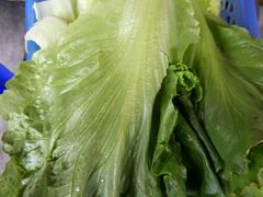 -章记正宗南岗鱼蛋火锅