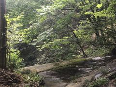 -罗田薄刀峰风景区
