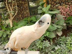 -南宫五洲植物乐园