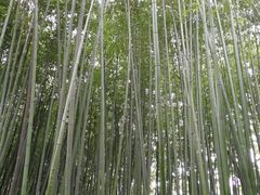-竹泉村旅游度假区