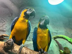 -Zoolung Zoolung动物主题公园(海信广场店)